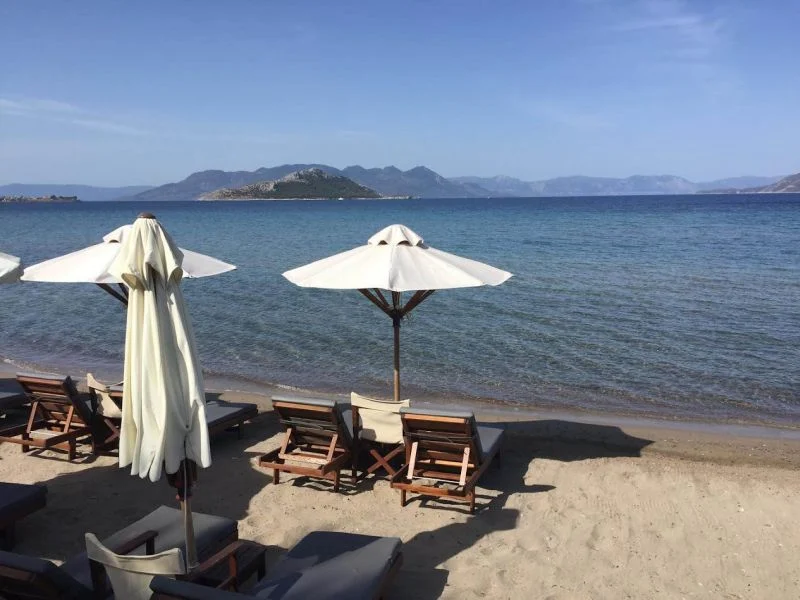 FILM „CÓRKA” – reż. Maggie Gyllenhaal