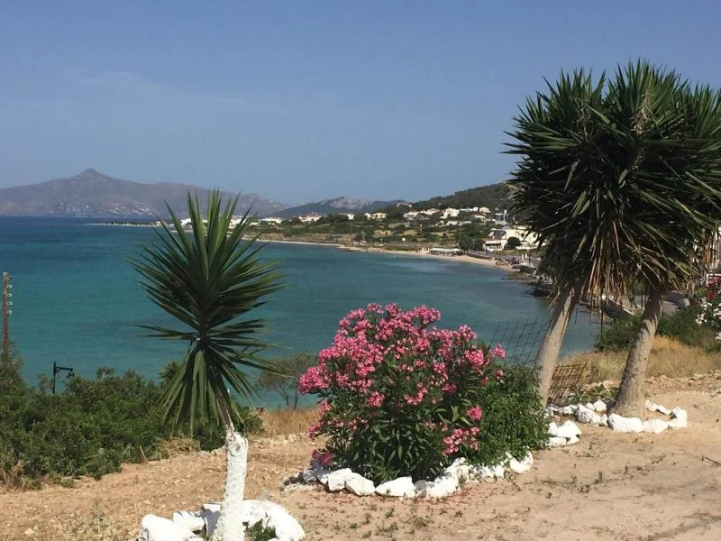 KSIĄŻKA „CÓRKA” – Elena Ferrante