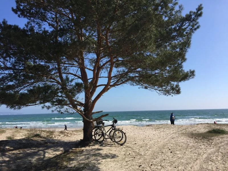 ROWEREM PRZEZ RUGIĘ