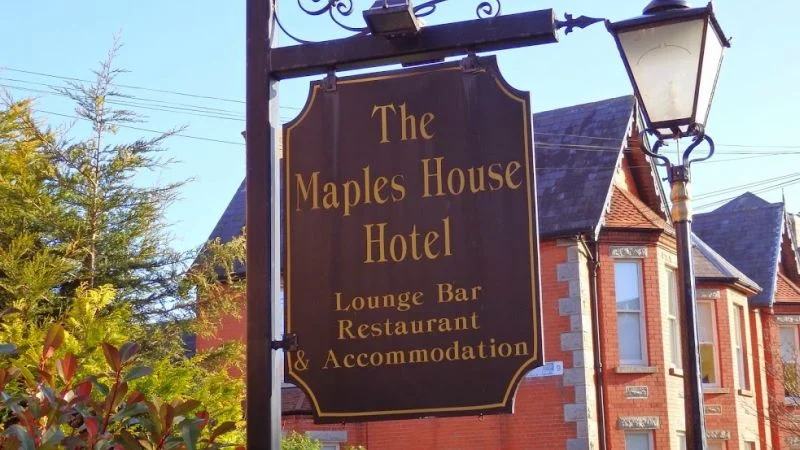 „NORMALNI LUDZIE” – reż. Lenny Abrahamson i Hettie Macdonald