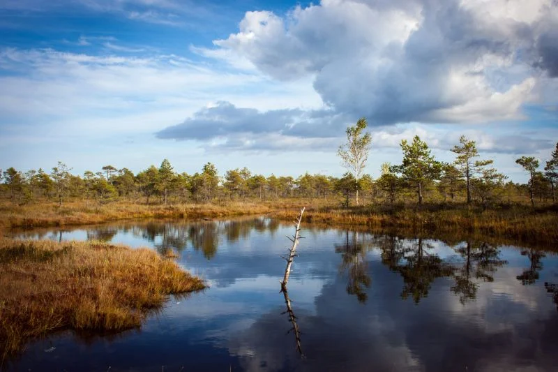 „ROJST” – Jan Holoubek, Michał Marczak