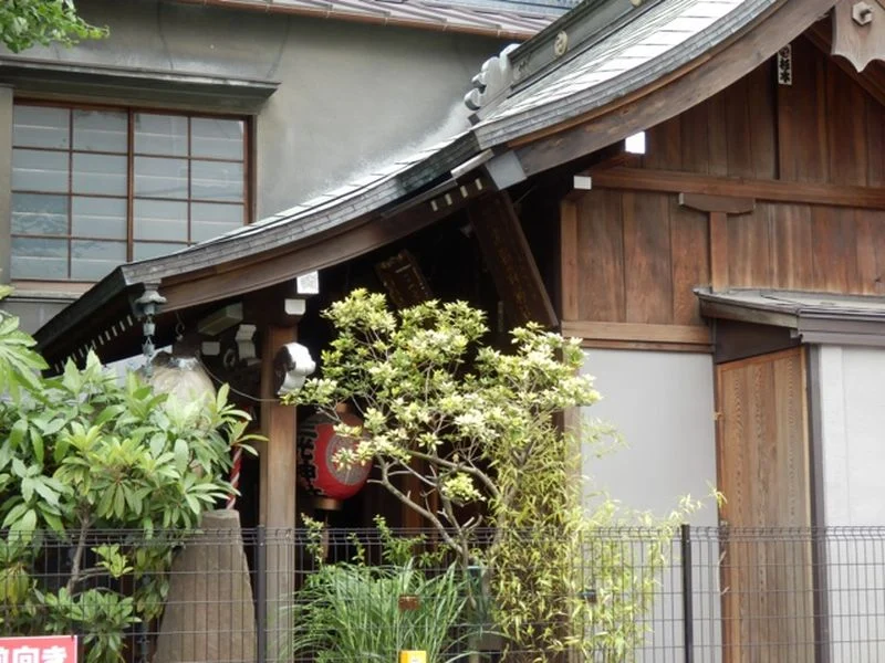 „PERFECT DAYS” – reż. Wim Wenders