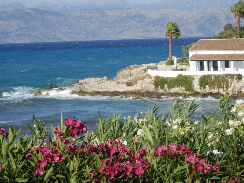 SERIAL „DURRELLOWIE” – mądry i optymistyczny