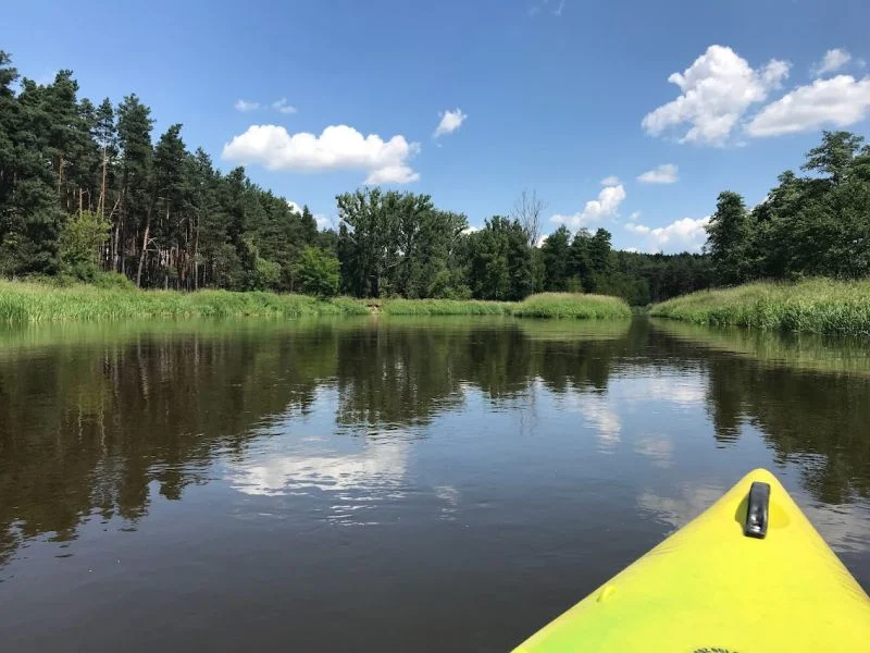 SPŁYW KAJAKOWY RZEKĄ NIDĄ