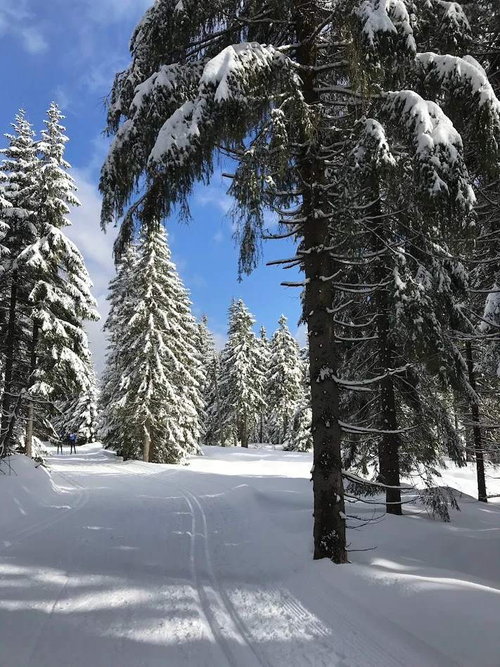 SYPIE ŚNIEG – Agnieszka Osiecka