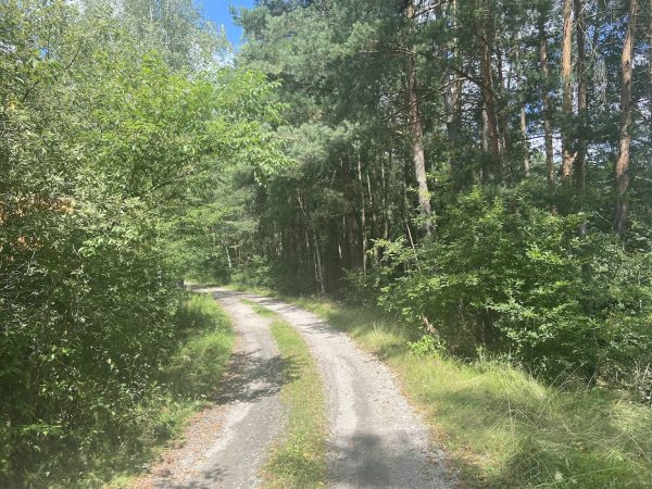 PĘTLA ROWEROWA LASY RUDZKIE