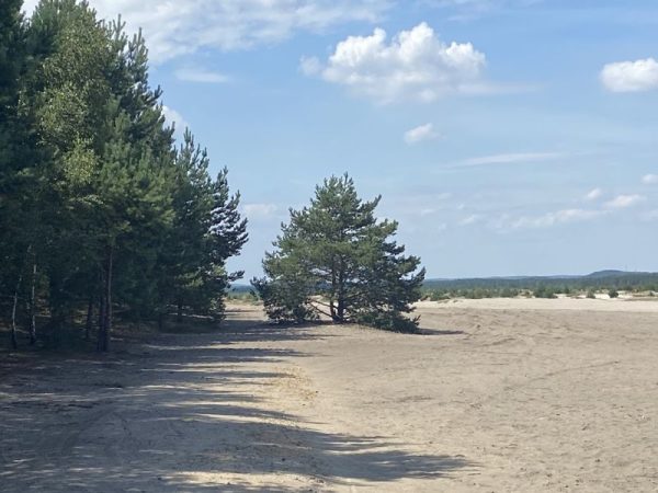 NA ROWERZE PRZEZ PUSTYNIĘ BŁĘDOWSKĄ